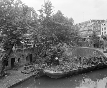880051 Afbeelding van het snoeien van bomen op de werf aan de oostzijde van de Oudegracht te Utrecht, tussen de ...
